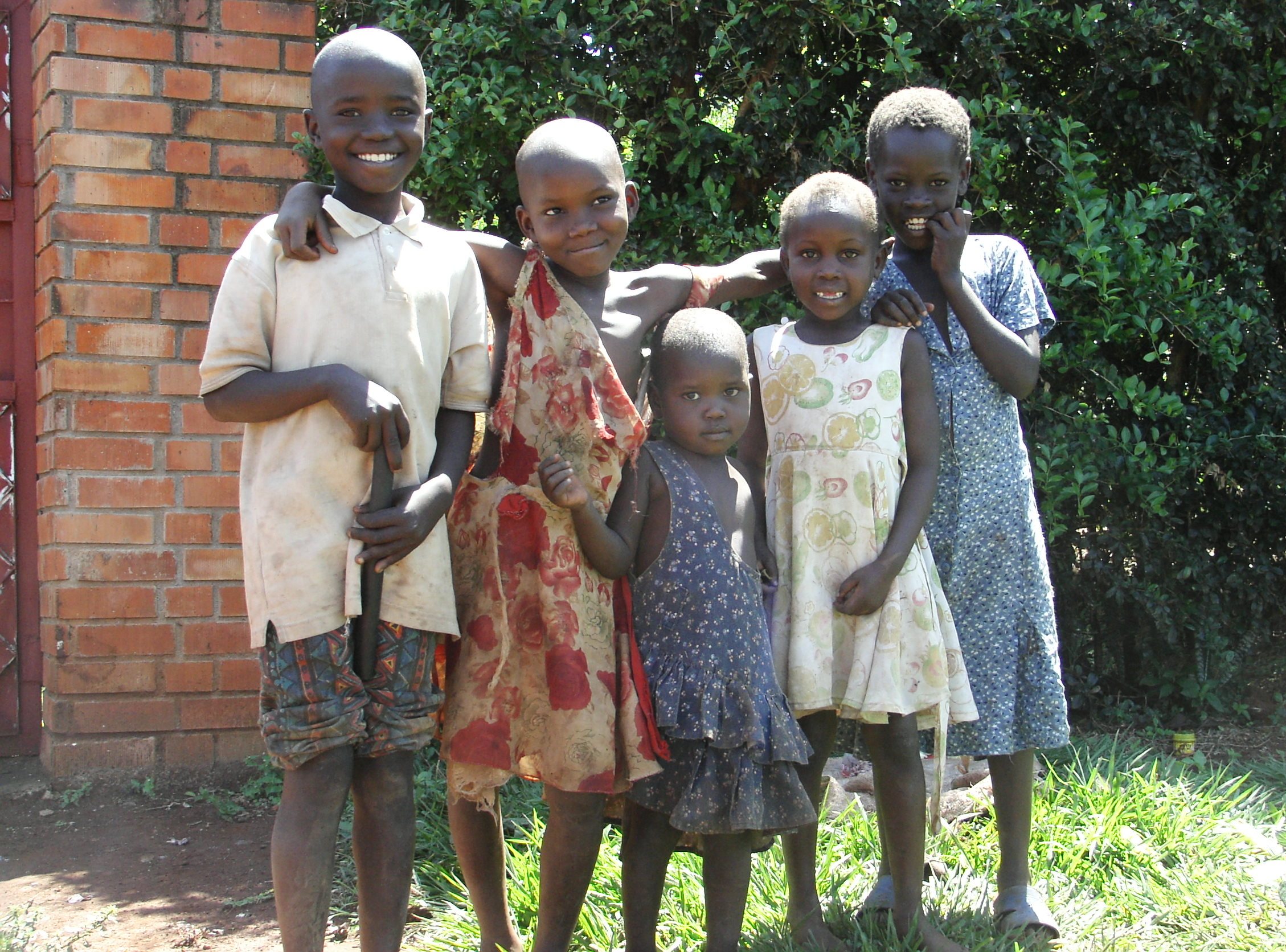 Tororo 039