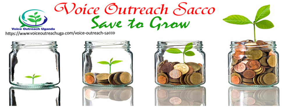 Gold coins and seed in clear bottle on white background,Business investment growth concept
